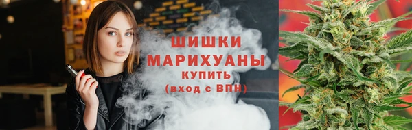 крисы Богородск