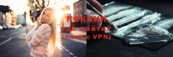 хмурый Белокуриха