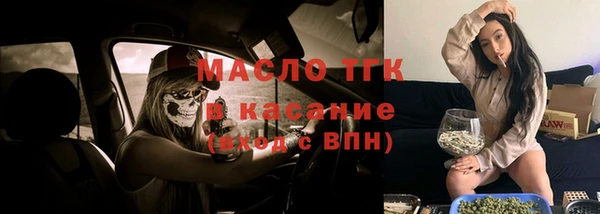 крисы Богородск