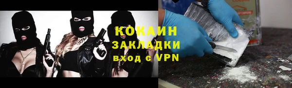 крисы Богородск