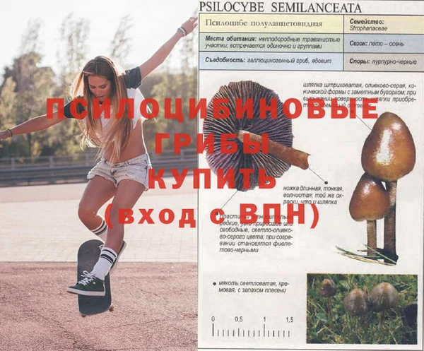 a pvp Богородицк