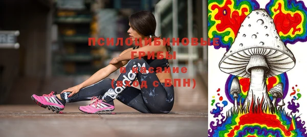 скорость Богданович