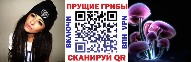 Псилоцибиновые грибы прущие грибы  Плёс 