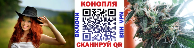 дарнет шоп  Плёс  Бошки марихуана сатива 
